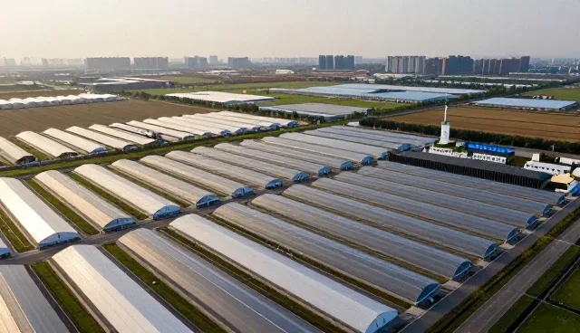 门诊服务信息化建设中的常见问题与优化策略